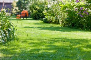 travaux jardin et paysage Veyrines-de-Domme